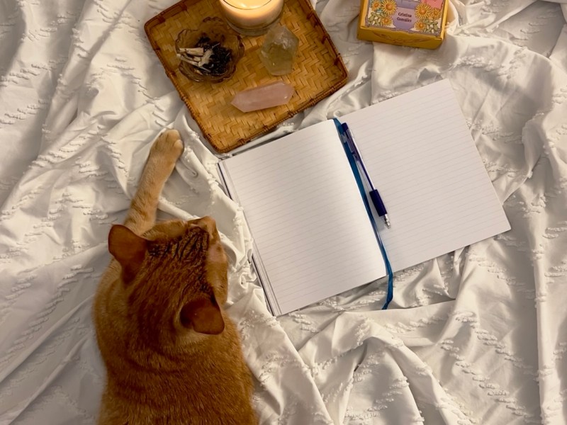 How journaling can help you understand and process your&nbsp;feelings